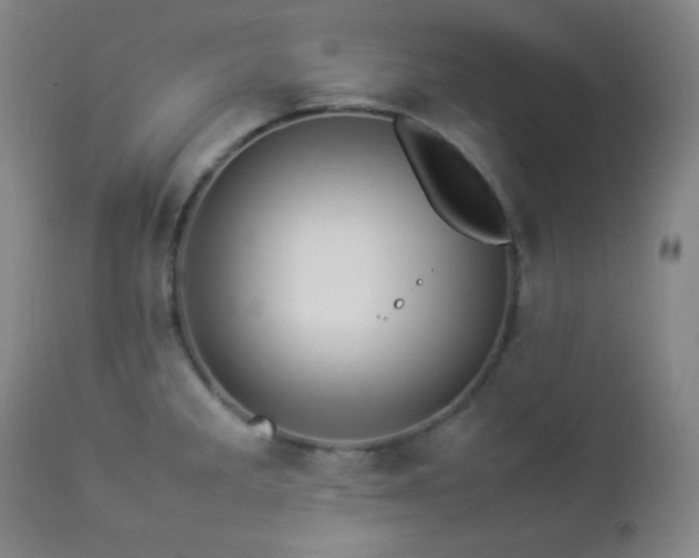 X0000112831285200908211208