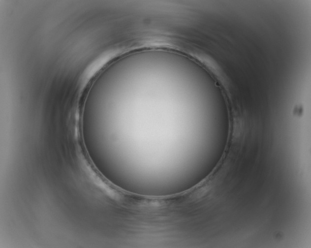 X0000112831286200908211208