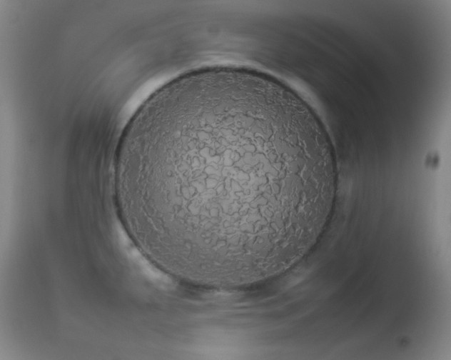 X0000112831287200908211208
