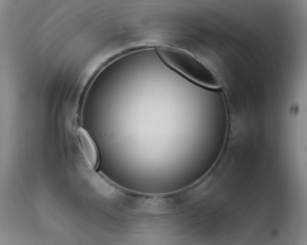 X0000112831288200908211208