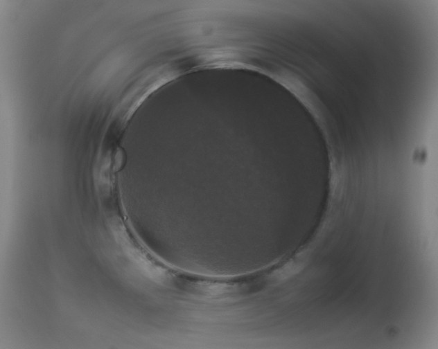 X0000112831289200908211208