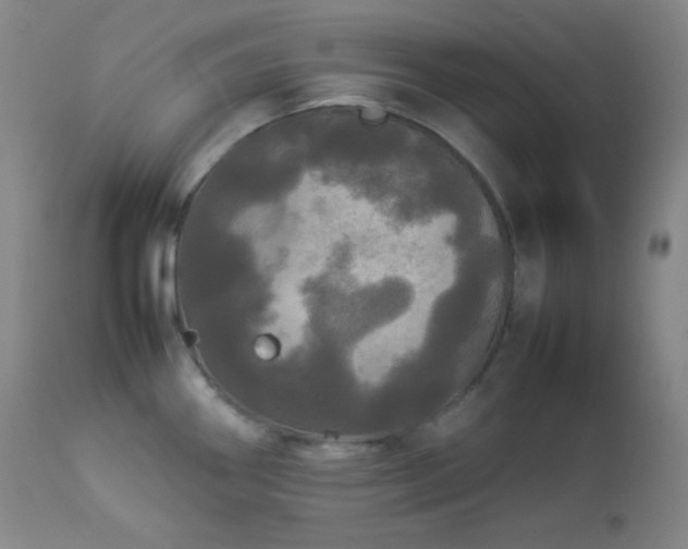 X0000112831290200908211208