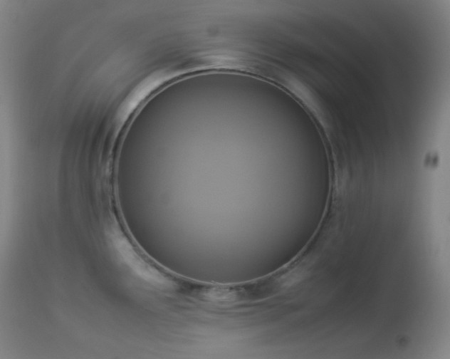 X0000112831291200908211208