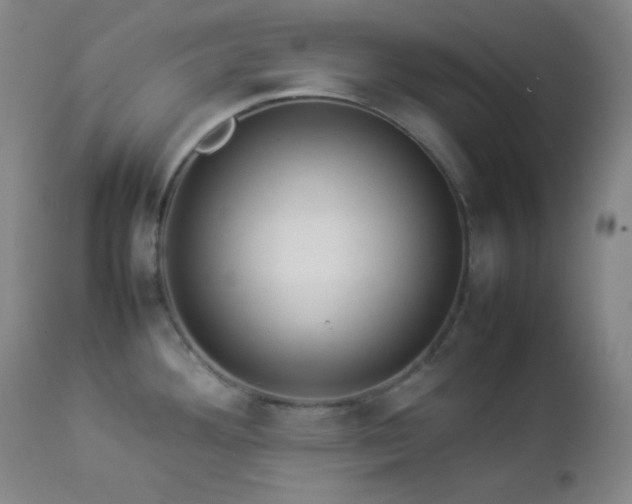X0000112831292200908211208