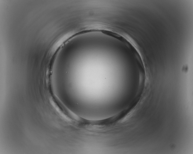 X0000112831293200908211208