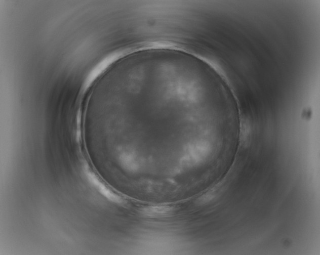 X0000112831294200908211208