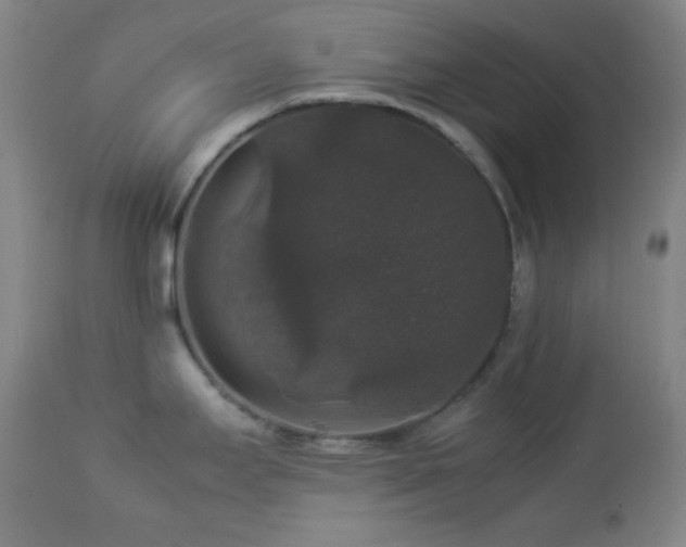 X0000112831295200908211208