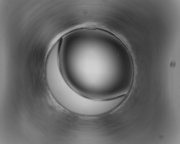 X0000112831296200908211208