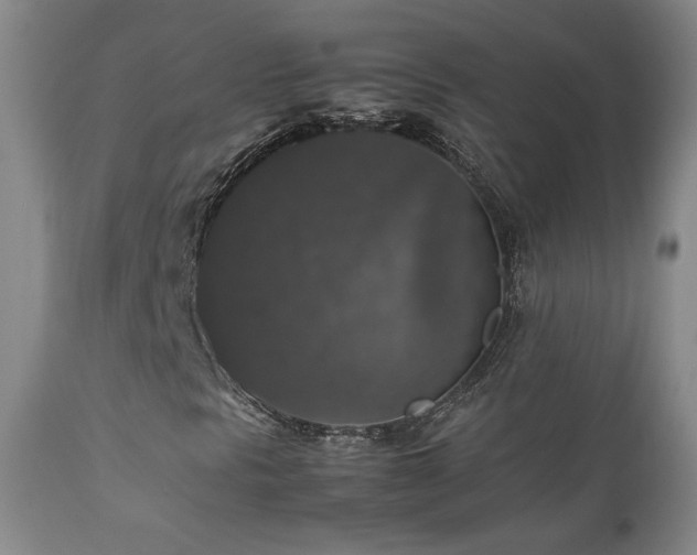 X0000112831297200908211207