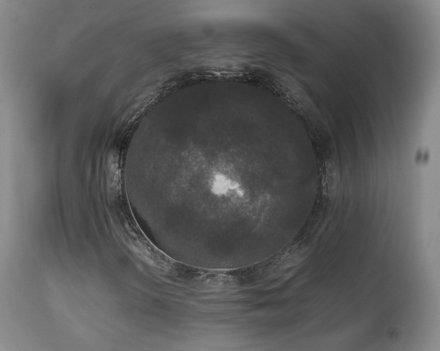 X0000112831298200908211207