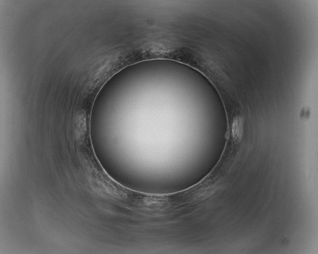 X0000112831299200908211207