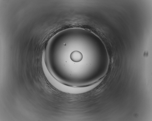 X0000112831300200908211207