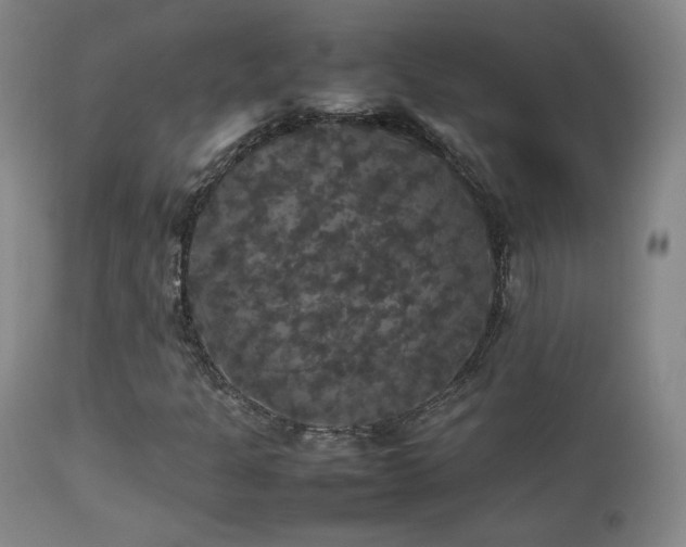 X0000112831301200908211207