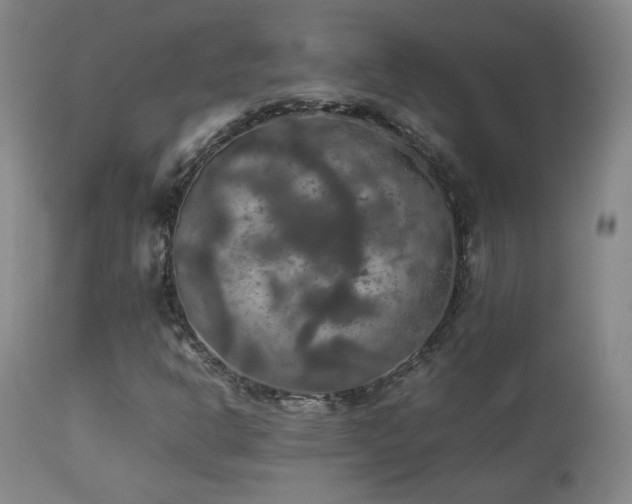X0000112831302200908211207