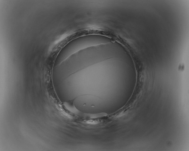 X0000112831303200908211207