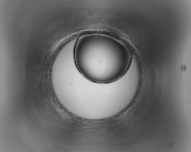 X0000112831304200908211207