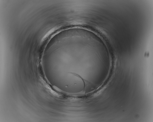 X0000112831306200908211207