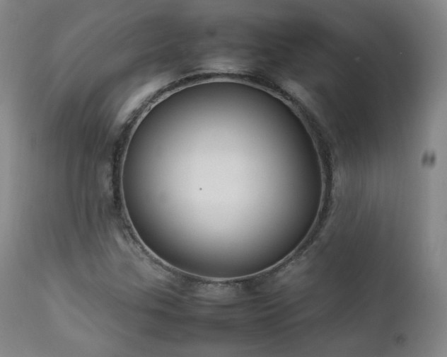 X0000112831307200908211207