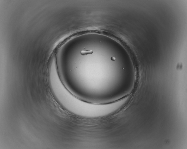 X0000112831308200908211207