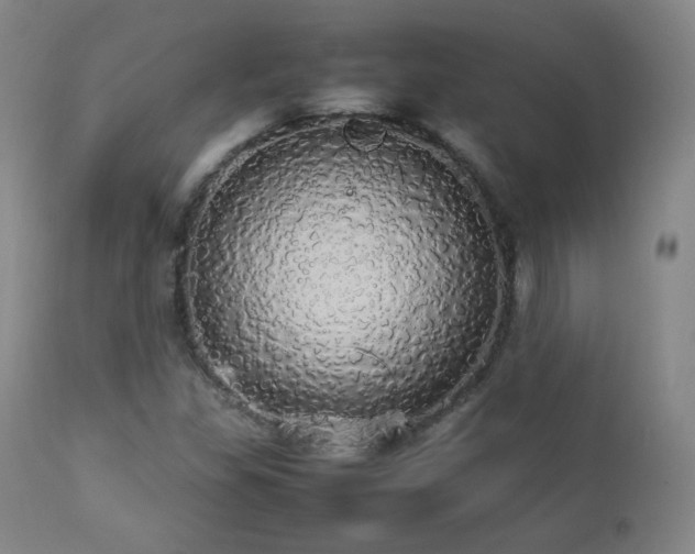 X0000112831309200908211207