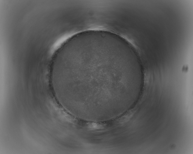 X0000112831311200908211207