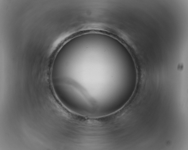 X0000112831312200908211207