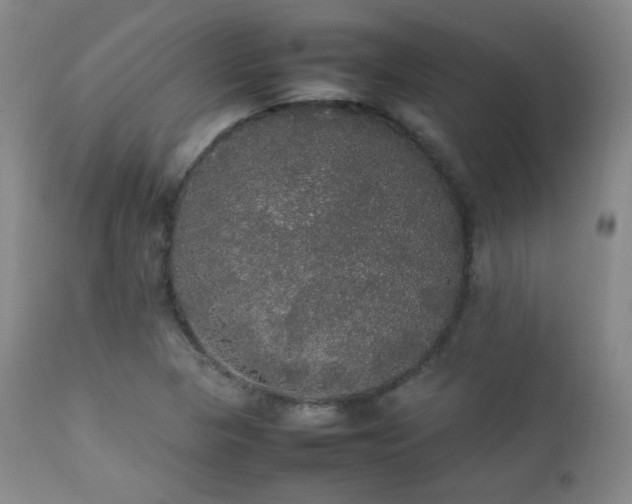 X0000112831313200908211207