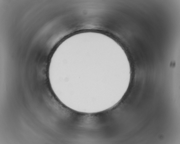 X0000112831314200908211207