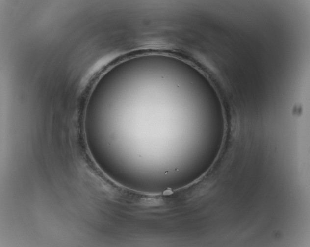 X0000112831315200908211207