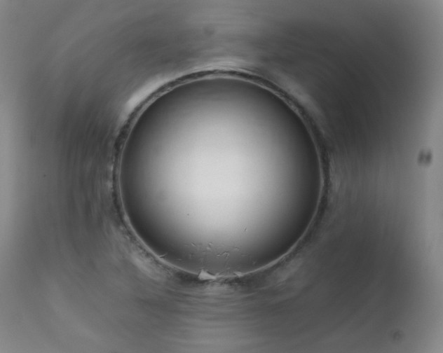 X0000112831316200908211207