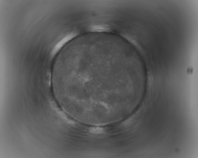 X0000112831317200908211207