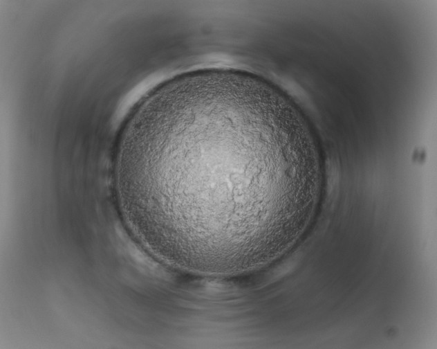 X0000112831318200908211207