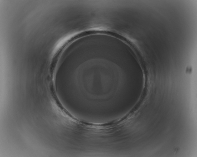 X0000112831319200908211207