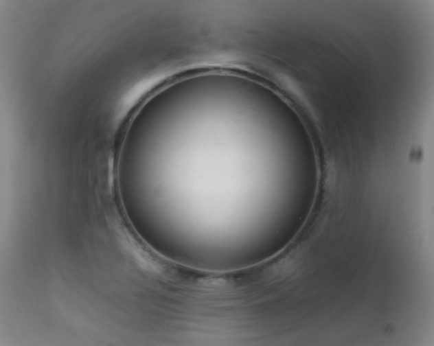 X0000112831320200908211207
