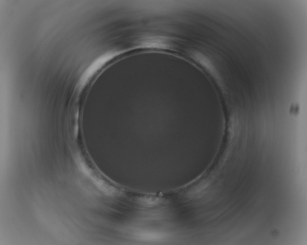 X0000112831323200908211207