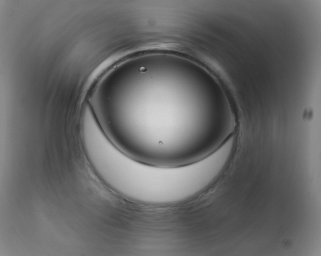 X0000112831324200908211207