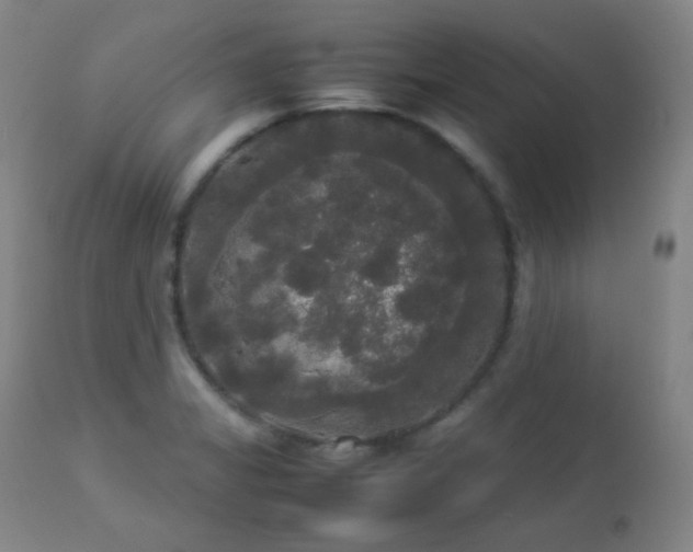X0000112831325200908211207