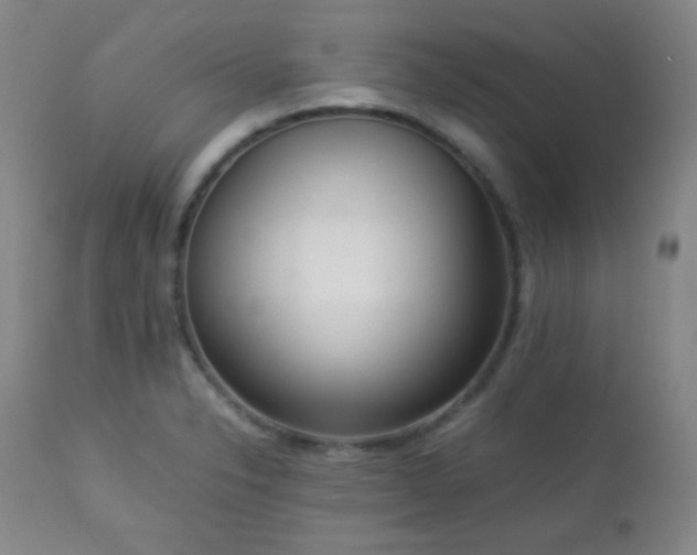 X0000112831326200908211207