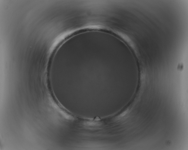 X0000112831327200908211207