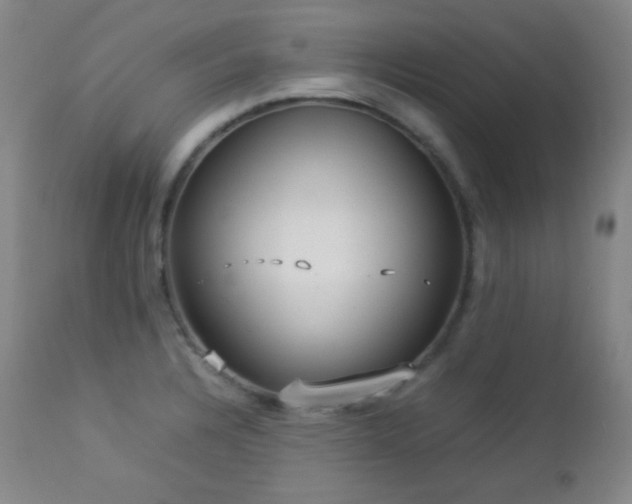 X0000112831328200908211207