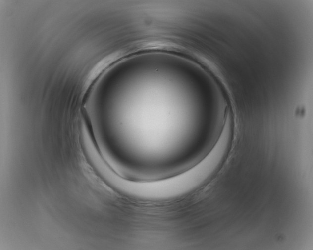 X0000112831330200908211207