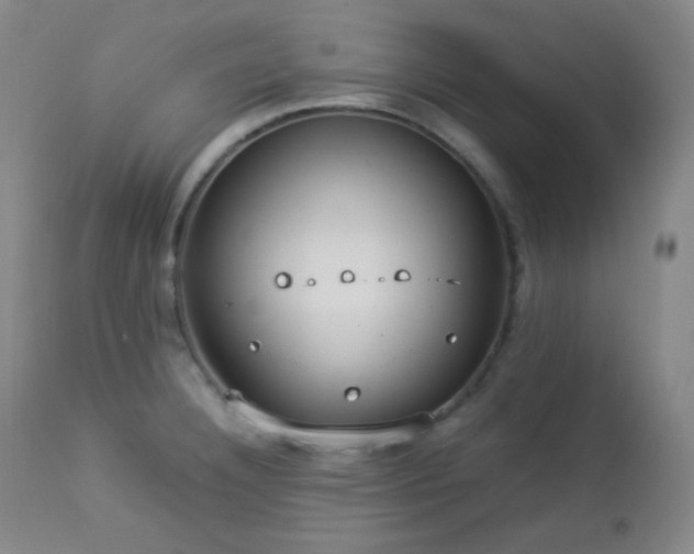 X0000112831332200908211207