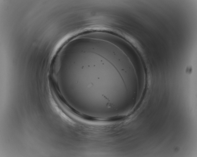 X0000112831334200908211207