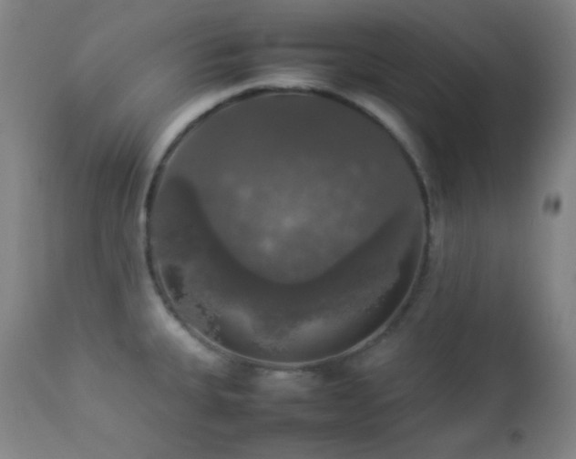 X0000112831335200908211207