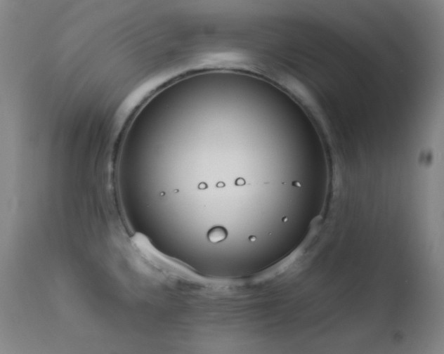 X0000112831336200908211207