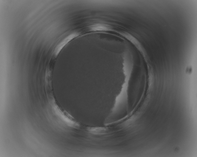 X0000112831337200908211207