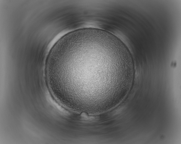 X0000112831339200908211207