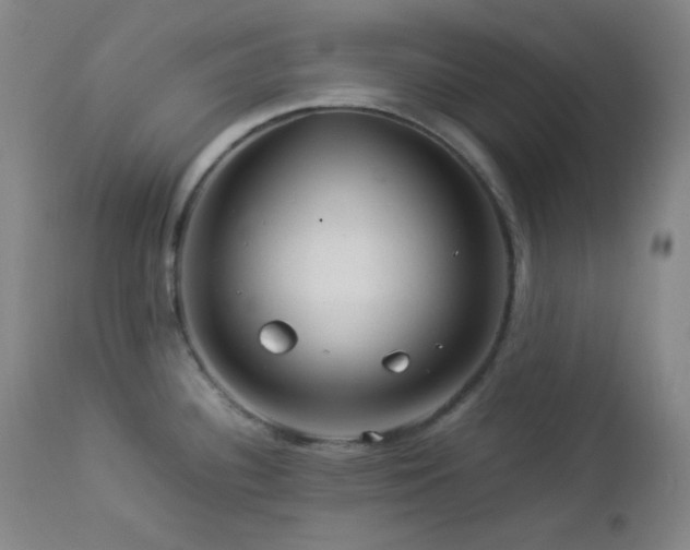 X0000112831340200908211207