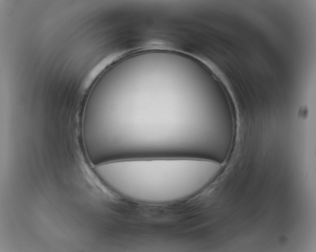X0000112831341200908211207