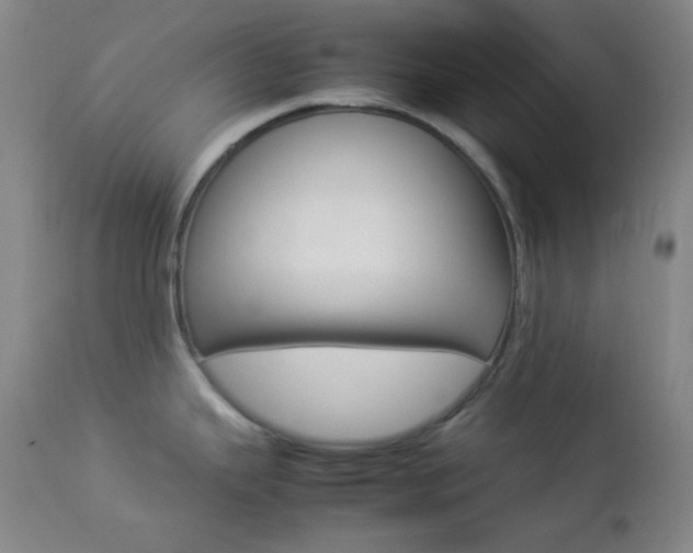 X0000112831343200908211207